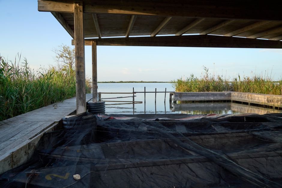 Cătălin Scărlătescu pregătește o casă de vacanță în Delta Dunării, proiectată de iubita sa